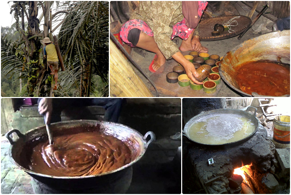 Proses Pembuatan Gula Aren 
