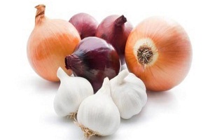4 Cara Menanam Bawang dengan Media Kapas Mudah | Artikel Pertanian