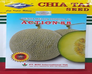 5 Jenis Benih Melon Terbaik dan Tahan Penyakit | Artikel Pertanian