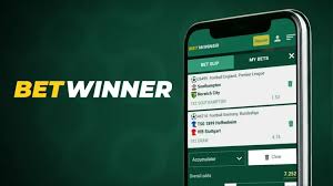 Understanding BetWinner Withdrawals A Comprehensive Guide -647268889