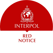 Understanding the Process of Interpol Red Notice Removal 1340887098 Understanding the Process of Interpol Red Notice Removal 1340887098